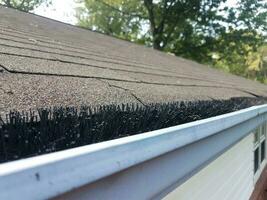 zwarte pijpenrager in schoongemaakte goot met dak van huis foto