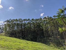 landschap, natuur in de heuvels en bomen foto