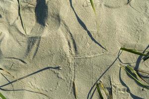 zand textuur. zandstrand voor achtergrond. bovenaanzicht foto