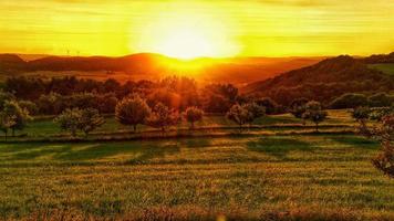 zonsondergang in het Saarland op een weiland met bomen en uitzicht op de vallei. foto