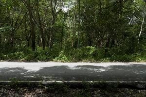 horizontale weergave van landweg in thailand. naast met bomen rubber. witte lijn in de naast van asfaltweg. foto