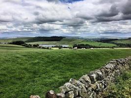 een uitzicht op de yorkshire moors in de buurt van mallam cove foto