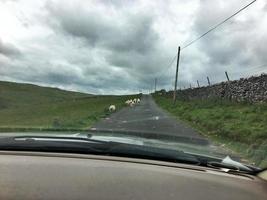 een uitzicht op de yorkshire moors in de buurt van mallam cove foto