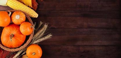 herfst oogst en dankzegging. rijpe pompoenen, maïs en tarwe op houten achtergrond. banner formaat. foto