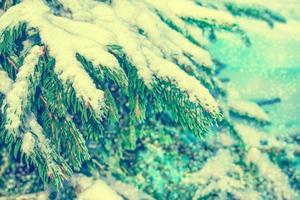 bevroren winterbos met besneeuwde bomen. foto