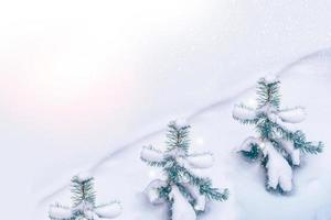 bevroren winterbos met besneeuwde bomen. foto