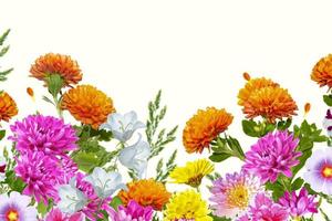 kleurrijke herfstbloemen van chrysanthemum foto