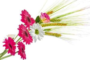 kleurrijke levendige bloemen van chrysant, gerbera, rozen geïsoleerd op een witte achtergrond. foto
