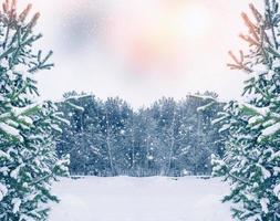 bevroren winterbos met besneeuwde bomen. foto