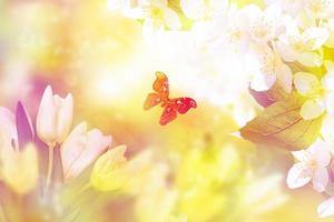 tulpen en vlinder. witte jasmijn. de tak delicate lentebloemen foto