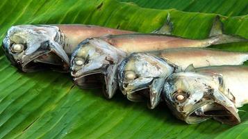 gestoomde makreel op bananenblad klaar om te koken foto