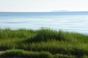 weelderig dik groen strandgras op de oceaan foto