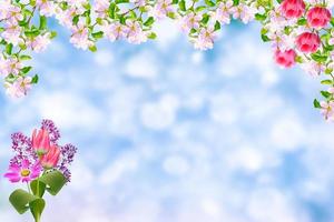 heldere kleurrijke lentebloemen foto
