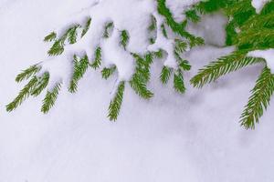bevroren winterbos met besneeuwde bomen. foto