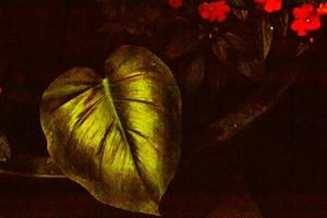 heldere en kleurrijke bladeren. wazig vintage natuurlijke achtergrond. foto