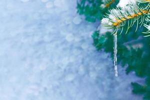 bevroren winterbos met besneeuwde bomen. foto