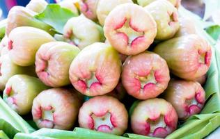 roze roos appels foto