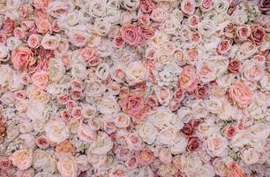 roze bloem achtergrond foto