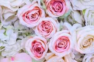 roze bloem achtergrond foto