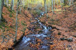 waterval in yedigoller nationaal park, bolu, turkije foto