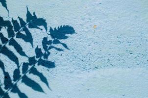 schaduw van de bladeren en boom op oude blauw geschilderde muur voor achtergrond en textuur. foto