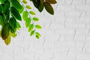 kleurrijk bladerenpatroon op witte muurtextuur, gradiëntkleur pastel herfstblad, ideeën grafisch ontwerp voor web of banner