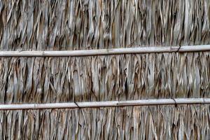 dak of muur gemaakt van droog nypa-palmbladerenpatroon foto
