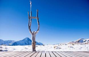 eerste berg grindelwald zwitserland foto