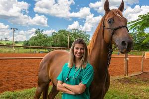 veterinaire vrouw en paard foto
