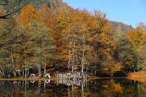 derin meer in yedigoller nationaal park, bolu, turkije foto