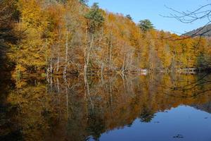 buyuk-meer in yedigoller nationaal park, bolu, turkije foto