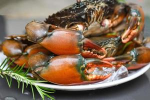 verse modderkrab met ijs voor het koken van voedsel in het visrestaurant, rauwe krab op witte plaat met rozemarijn foto