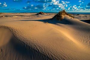 zuid padre eiland texas foto