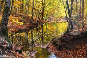 sazli-meer in yedigoller nationaal park, bolu, turkije foto