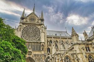 kathedraal notre dame in parijs foto