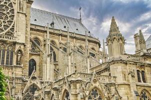 kathedraal notre dame in parijs foto