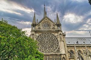 kathedraal notre dame in parijs foto