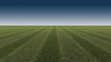 groene grassen veld achtergrond voor voetbal, footbal foto