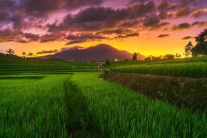 natuurpanorama van groene rijstvelden en bergen op het Indonesische platteland met zonsopgang foto