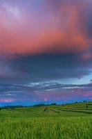 panoramische achtergrond van het prachtige natuurlijke landschap van Indonesië. zonsopgang boven de rijstvelden foto