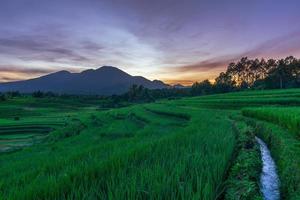 het buitengewone natuurlijke landschap van Indonesië. ochtend uitzicht met zonsopgang in de rijstvelden. rijstveld stroom foto