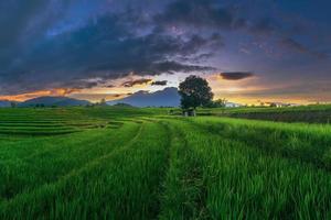 natuurlijk panorama van rijstvelden en bergen op het platteland van Indonesië met zonsopgang foto