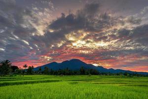 panoramische achtergrond van het prachtige natuurlijke landschap van Indonesië. ochtendzicht met zonsopgang boven de rijstvelden foto