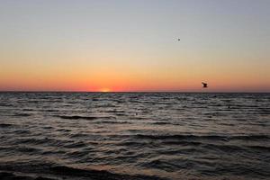 meeuwen vliegen op gouden zonsondergang of zonsopgang in de diepe donkere oceaan. luchtfoto van zonsondergang en tot aan de zee. gele en oranje kleurrijke lucht. romantische mooie hemel in het voorjaar. foto