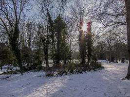 bomen en vegetatie in de winter op sneeuw in een parc foto