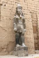 sculptuur in luxor tempel in luxor, egypte foto