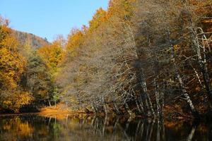 derin meer in yedigoller nationaal park, bolu, turkije foto