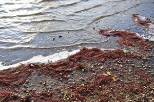 gedetailleerde close-up van wateroppervlakken met rimpelingen en golven en het zonlicht dat weerkaatst aan het oppervlak foto