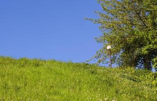 witte lamp, heuvel foto