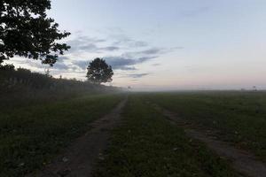 mistig landschap, weg foto